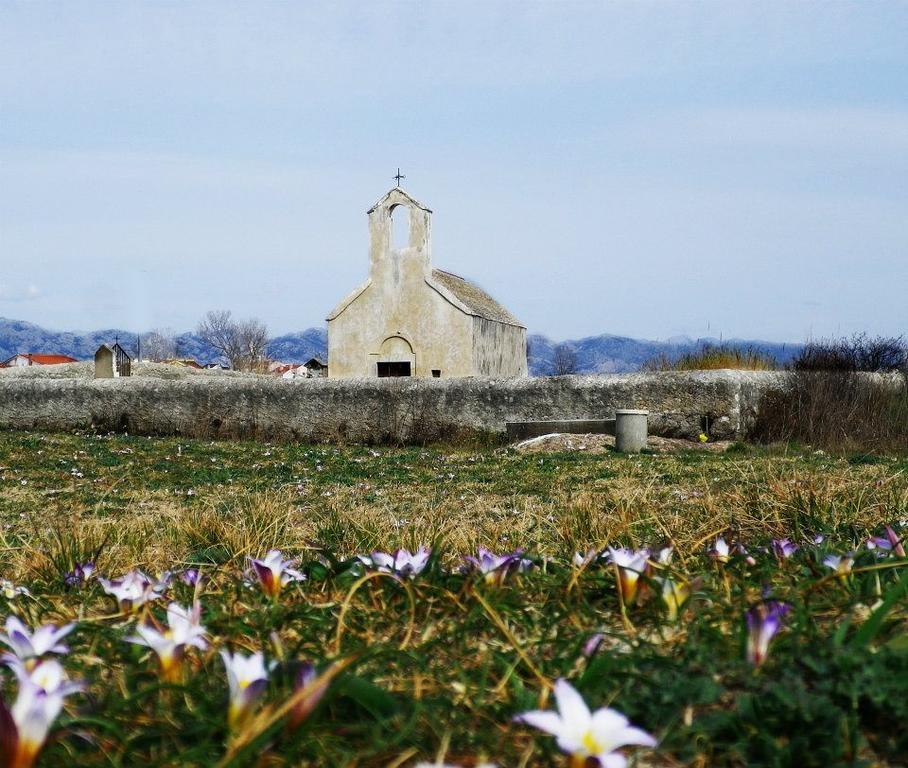 Panorama *